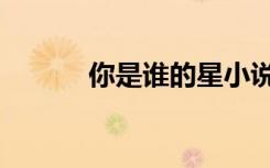 你是谁的星小说（你是谁的星）