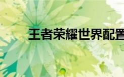 王者荣耀世界配置（王者世界配置）