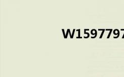W15977977（w159）