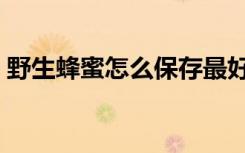 野生蜂蜜怎么保存最好（蜂蜜怎么保存最好）