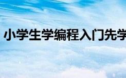 小学生学编程入门先学什么（小学生学编程）