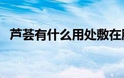 芦荟有什么用处敷在脸上（芦荟有什么用）