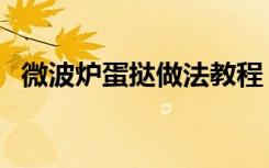 微波炉蛋挞做法教程（微波炉蛋挞的做法）