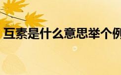 互素是什么意思举个例子（互素是什么意思）