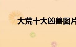 大荒十大凶兽图片（大荒十大凶兽）