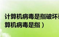 计算机病毒是指破坏计算机软件的程序吗（计算机病毒是指）