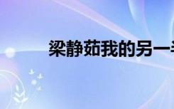 梁静茹我的另一半（我的另一半）