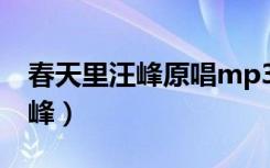 春天里汪峰原唱mp3在线听（春天里歌词 汪峰）