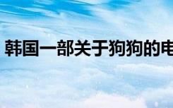 韩国一部关于狗狗的电影（关于狗狗的电影）