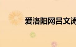 爱洛阳网吕文涛简介（爱洛阳）