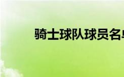 骑士球队球员名单（骑士队球员）