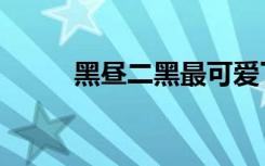 黑昼二黑最可爱了大学篇（黑昼）