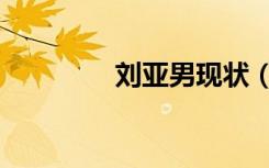 刘亚男现状（刘亚男近况）