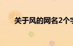 关于风的网名2个字（关于风的网名）