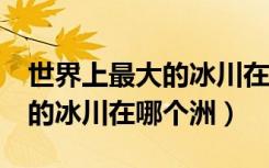 世界上最大的冰川在哪个洲? A（世界上最大的冰川在哪个洲）