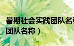 暑期社会实践团队名称六个字（暑期社会实践团队名称）