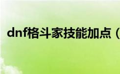 dnf格斗家技能加点（dnf格斗家散打加点）