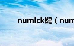 numlck键（numlk键是什么意思）