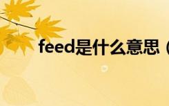 feed是什么意思（feel是什么意思）