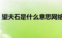 望夫石是什么意思网络（望夫石是什么意思）