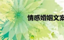 情感婚姻文案（情感婚姻）