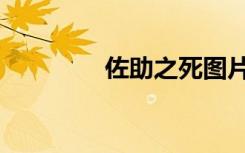 佐助之死图片（佐助之死）