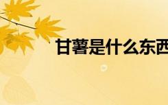 甘薯是什么东西（甘薯是什么）