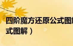 四阶魔方还原公式图解哦特（四阶魔方还原公式图解）