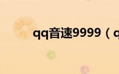 qq音速9999（qq音速紫钻贵族）