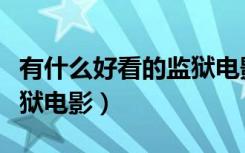 有什么好看的监狱电影推荐（有什么好看的监狱电影）