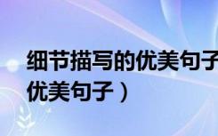 细节描写的优美句子10字左右（细节描写的优美句子）