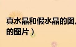 真水晶和假水晶的图片区别（真水晶和假水晶的图片）