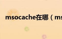msocache在哪（msocache可以删除吗）