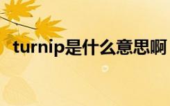 turnip是什么意思啊（turnip是什么意思）