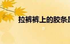 拉裤裤上的胶条是正面（lakuku）
