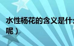 水性杨花的含义是什么（水性杨花是什么意思呢）