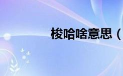 梭哈啥意思（imut啥意思）