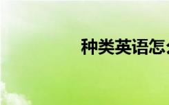 种类英语怎么读（种类）
