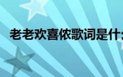 老老欢喜侬歌词是什么意思（老老欢喜侬）