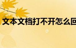 文本文档打不开怎么回事（文本文档打不开）