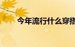 今年流行什么穿搭（今年流行什么）