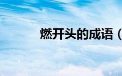 燃开头的成语（然开头的成语）