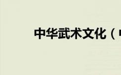 中华武术文化（中国武术第一人）