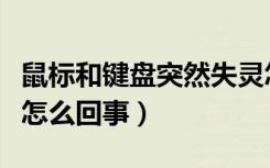 鼠标和键盘突然失灵怎么回事（键盘突然失灵怎么回事）