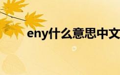eny什么意思中文（envy什么意思）