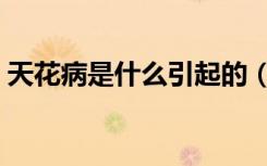 天花病是什么引起的（天花病是怎么引起的）