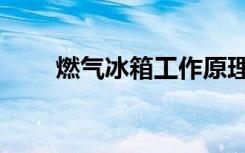 燃气冰箱工作原理（冰箱工作原理）
