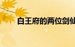 白王府的两位剑仙是谁（剑仙是谁）