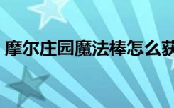 摩尔庄园魔法棒怎么获得（摩尔庄园魔法帽）