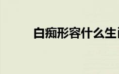 白痴形容什么生肖（白痴猜一字）